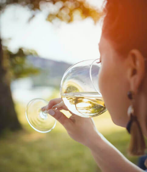 Wine tours in Pittsburgh 